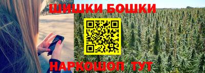 круглые Лесосибирск