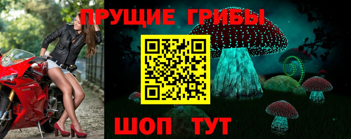 Галлюциногенные грибы Psilocybe  Вход с VPN  Бузулук 